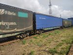FIBR FLS-054198-2